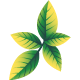 aadrikmart.in favicon